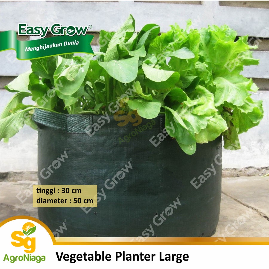 Vegetable Planter Bag Large Easy Grow Original