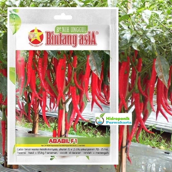 Benih Cabe Merah Besar Hibrida ABABIL 150 Butir Cap Bintang Asia
