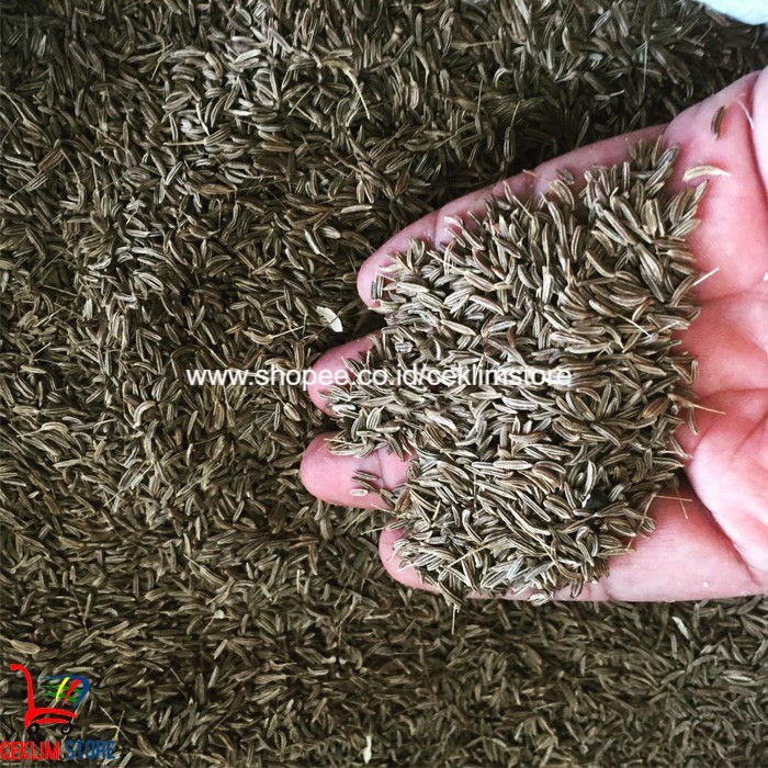 

Jintan Biji Utuh Atau Jeraengkot Khas Aceh 500 Gr