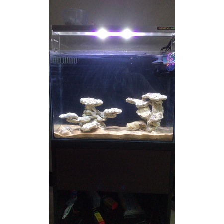 paket nano reeftank kit fast cycling aquarium air laut