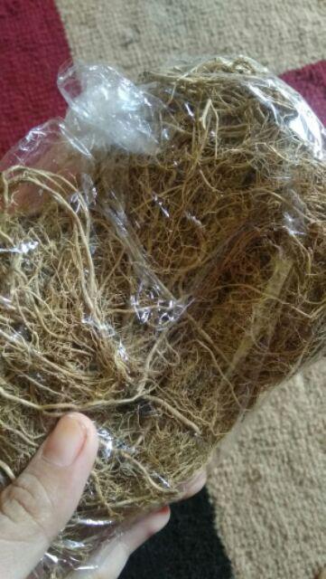 Rumput Kayu Angin Hijau 20gr