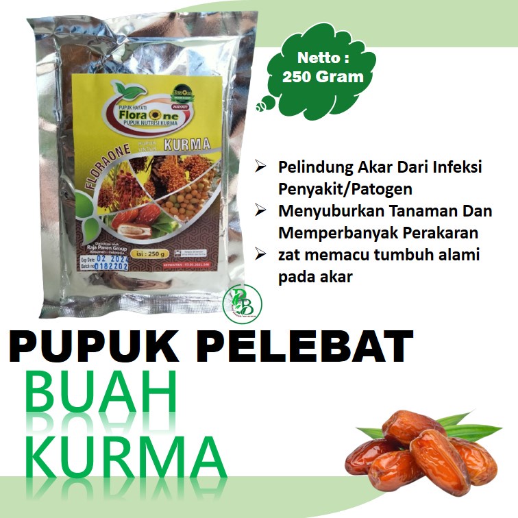 Pupuk Hayati kurma muda id, Boster Pohon Bibit Buah Kurma Cepat Besar