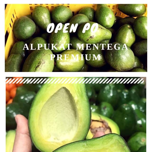 

Alpukat mentega