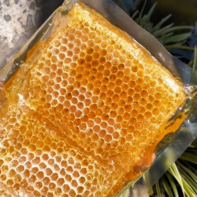 

[Lebah Madu] Sarang madu, honeycomb murni 500 gram