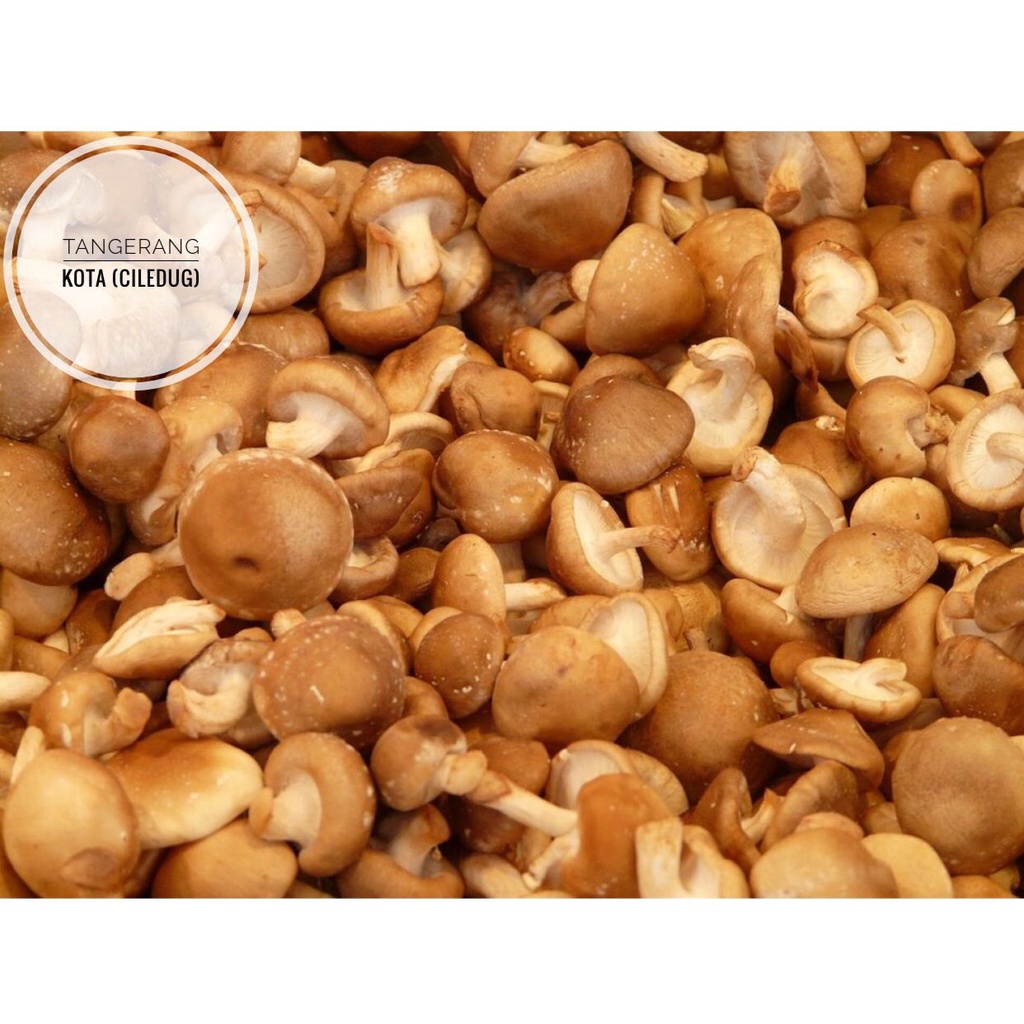 

Shiitake mushroom (Sudah Di Potong)
