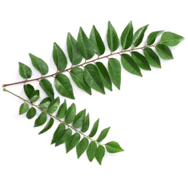 

Daun Kari ( temurui / salam koja )