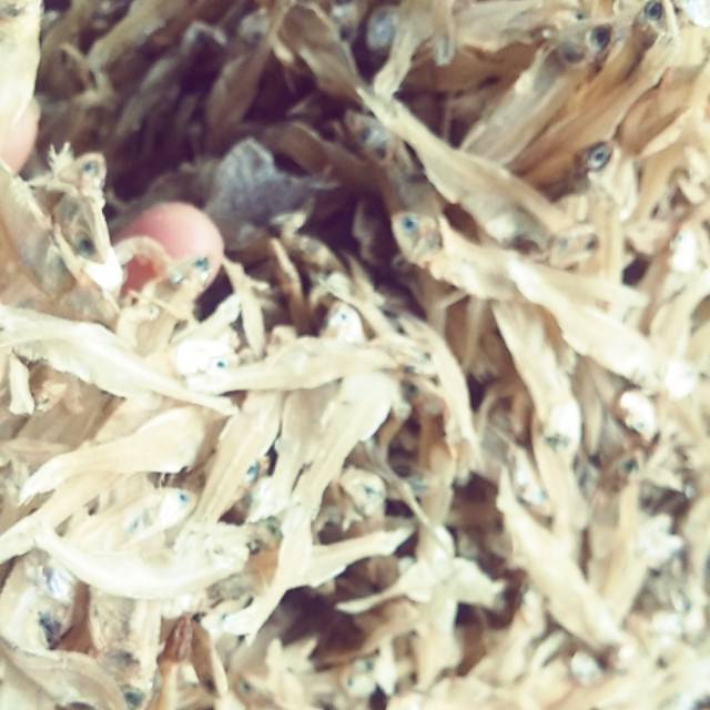 

Teri sibolga tawar 250 gram