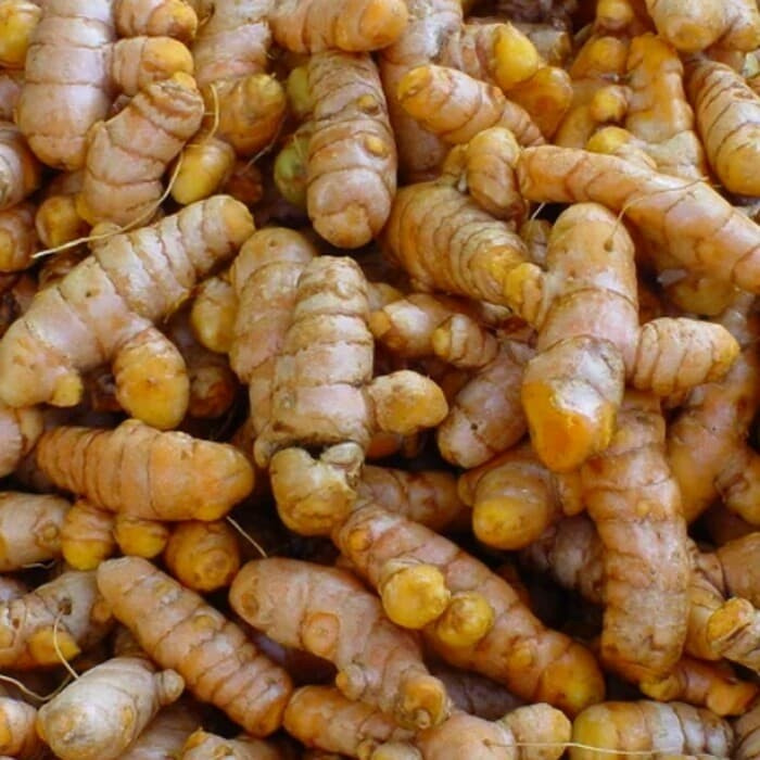 

kunyit atau kunir segar 1kg New promo