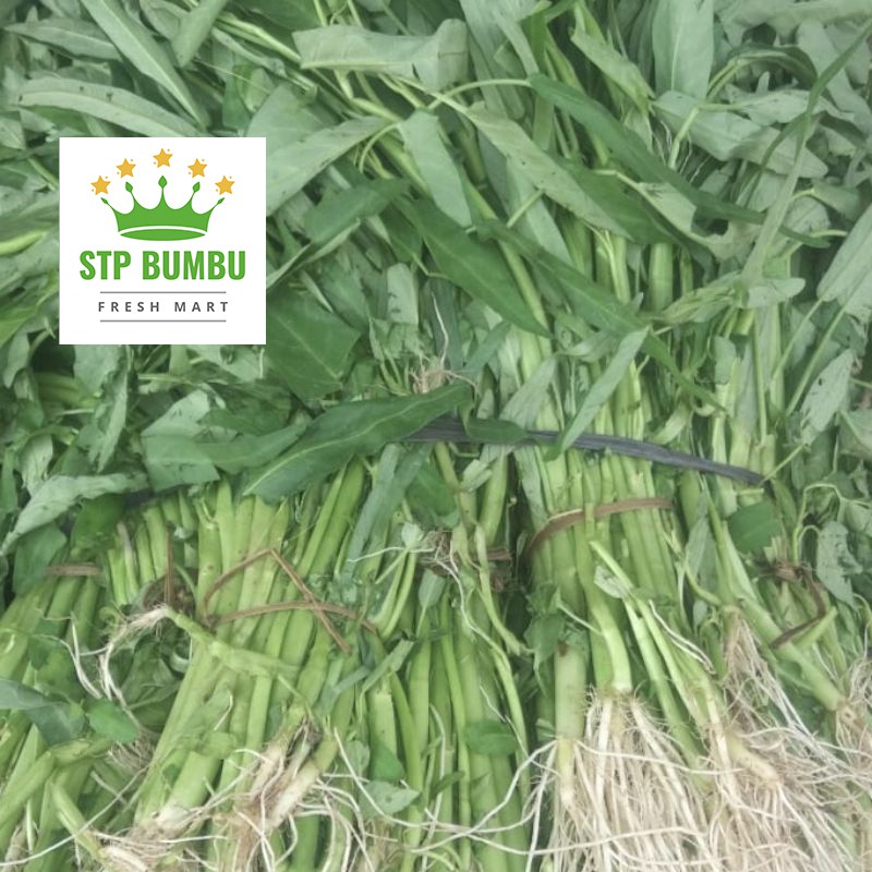 Sayur Kangkung Segar Fresh 500 gram