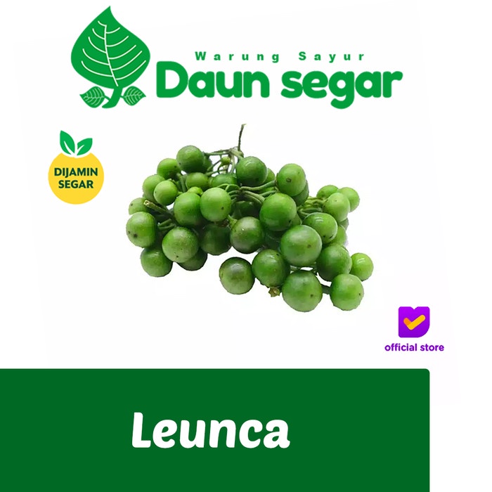 

Leunca / sayur Leunca Fresh 250gr