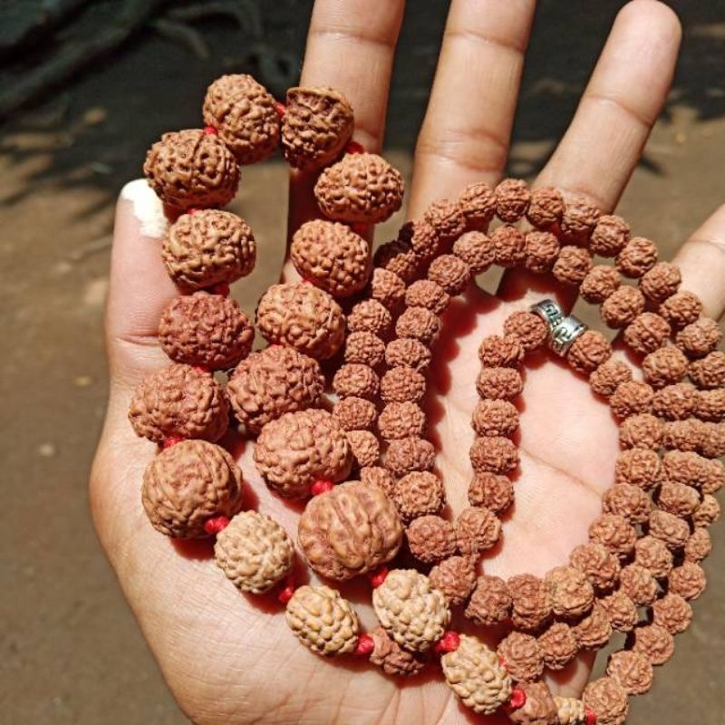 kalung rudraksha mukhi 1- mukhi 10