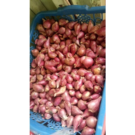 

Bawang Merah Brebes 500grm