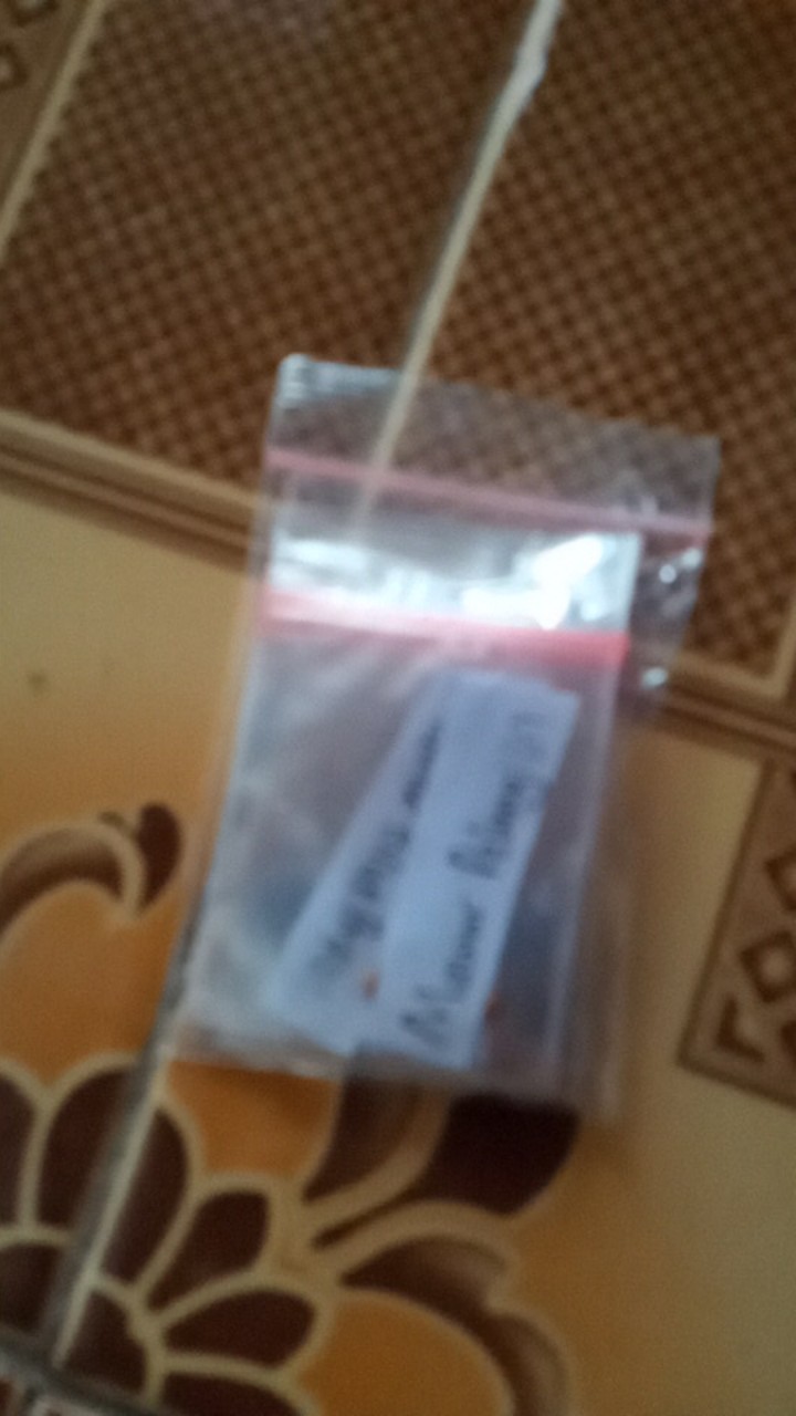 (benih) Biji Bunga Mawar Kuning Cantik Langka