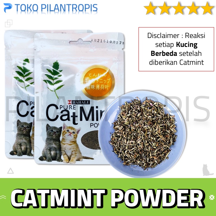 CATMINT POWDER KUCING CAT MINT DAUN CATNIP POWDER KUCING SNACK SNAK KUCING BIKIN FLY