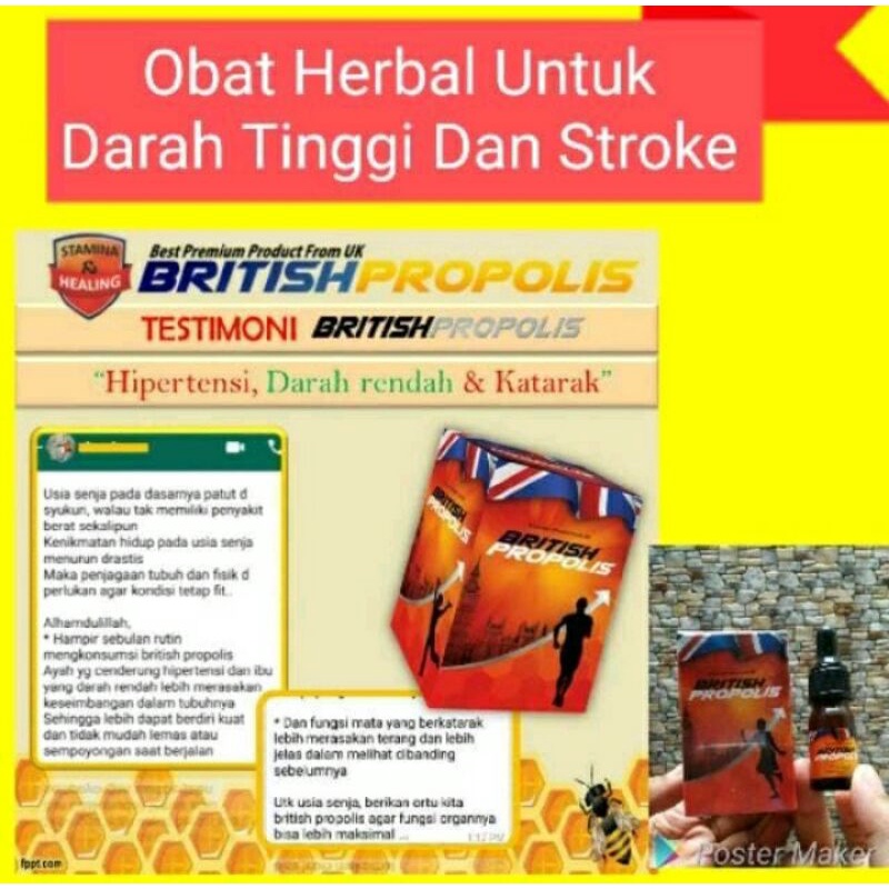 PROPOLIS BRAZILIAN ASLI