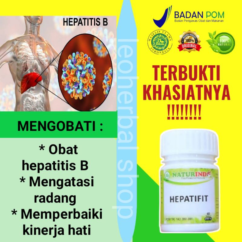 Obat spesial HEPATITIS B
