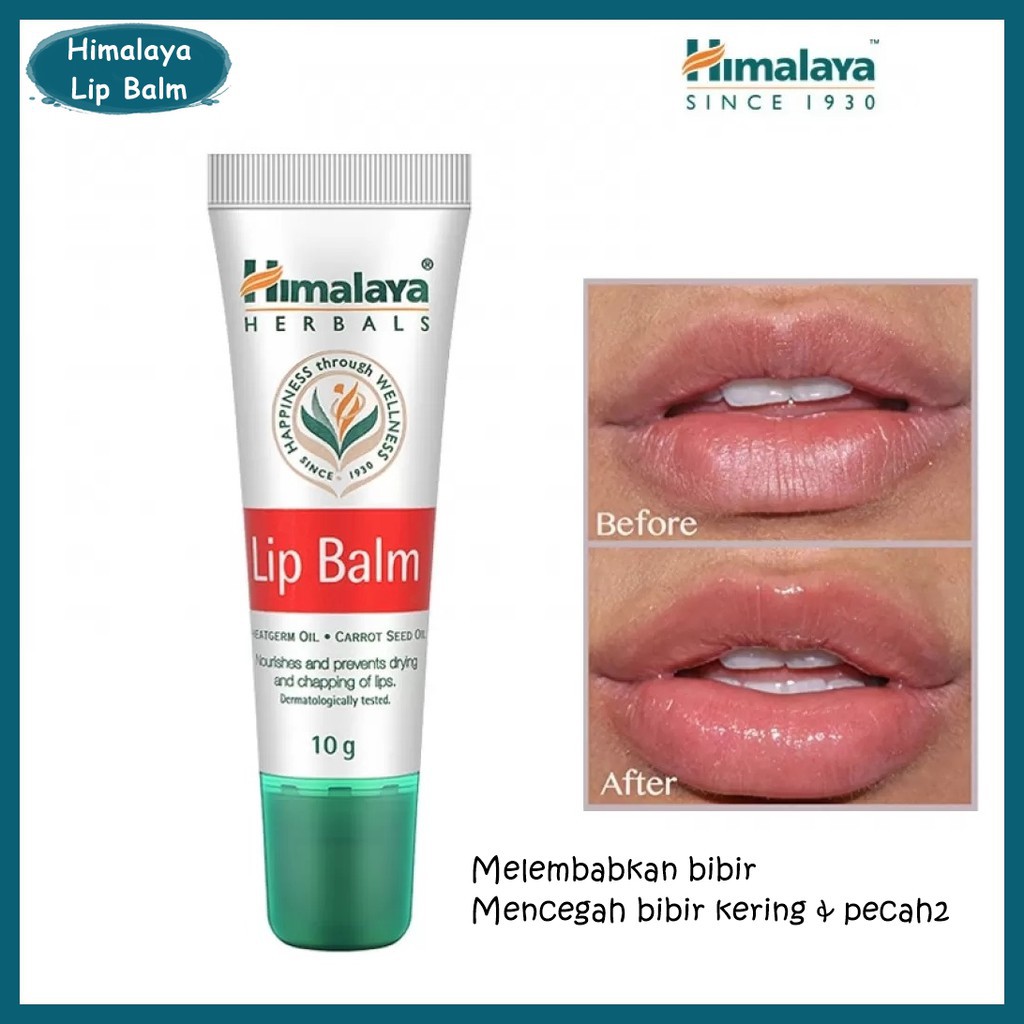 Jual Himalaya Herbals Lip Balm - 10 Gr | Shopee Indonesia