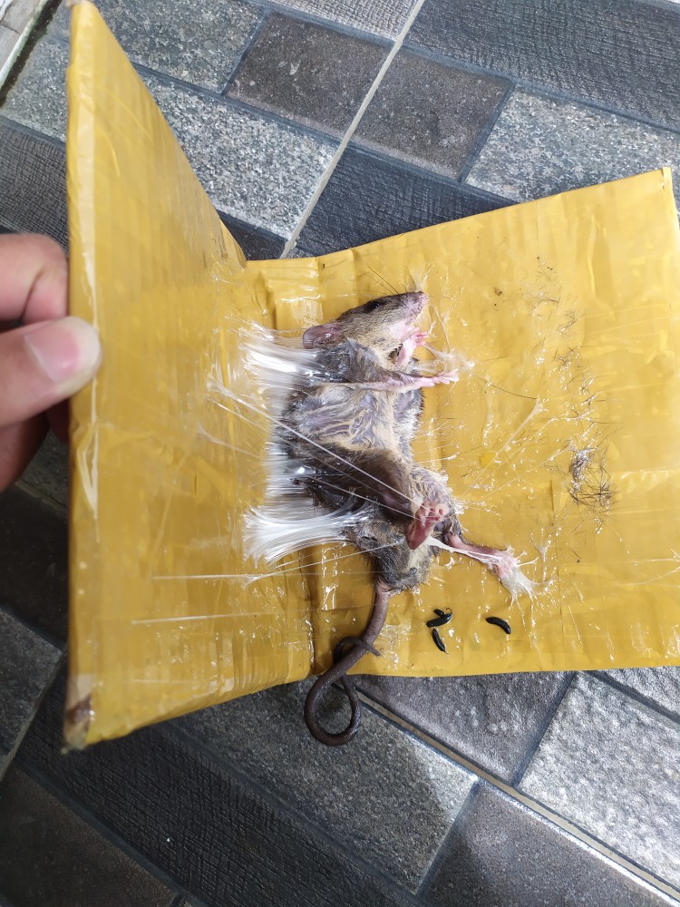 Treker Cvt Multipro - Tahanan Kopling Matic Flying Wheel Pliers