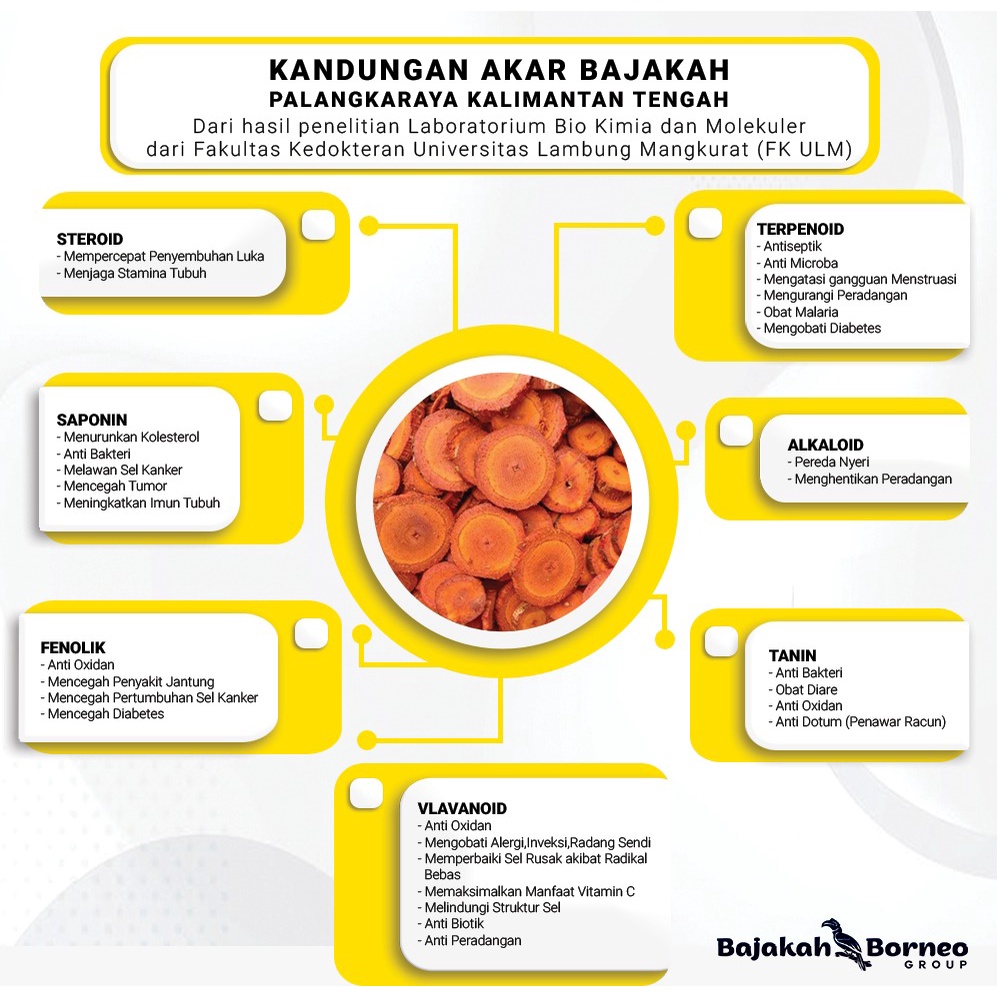 Madu Akar Bajakah MANJADDA Premium 100% ORIginal Kalimantan - Atasi Benjolan Kanker Tumor &amp; Segala Kronis