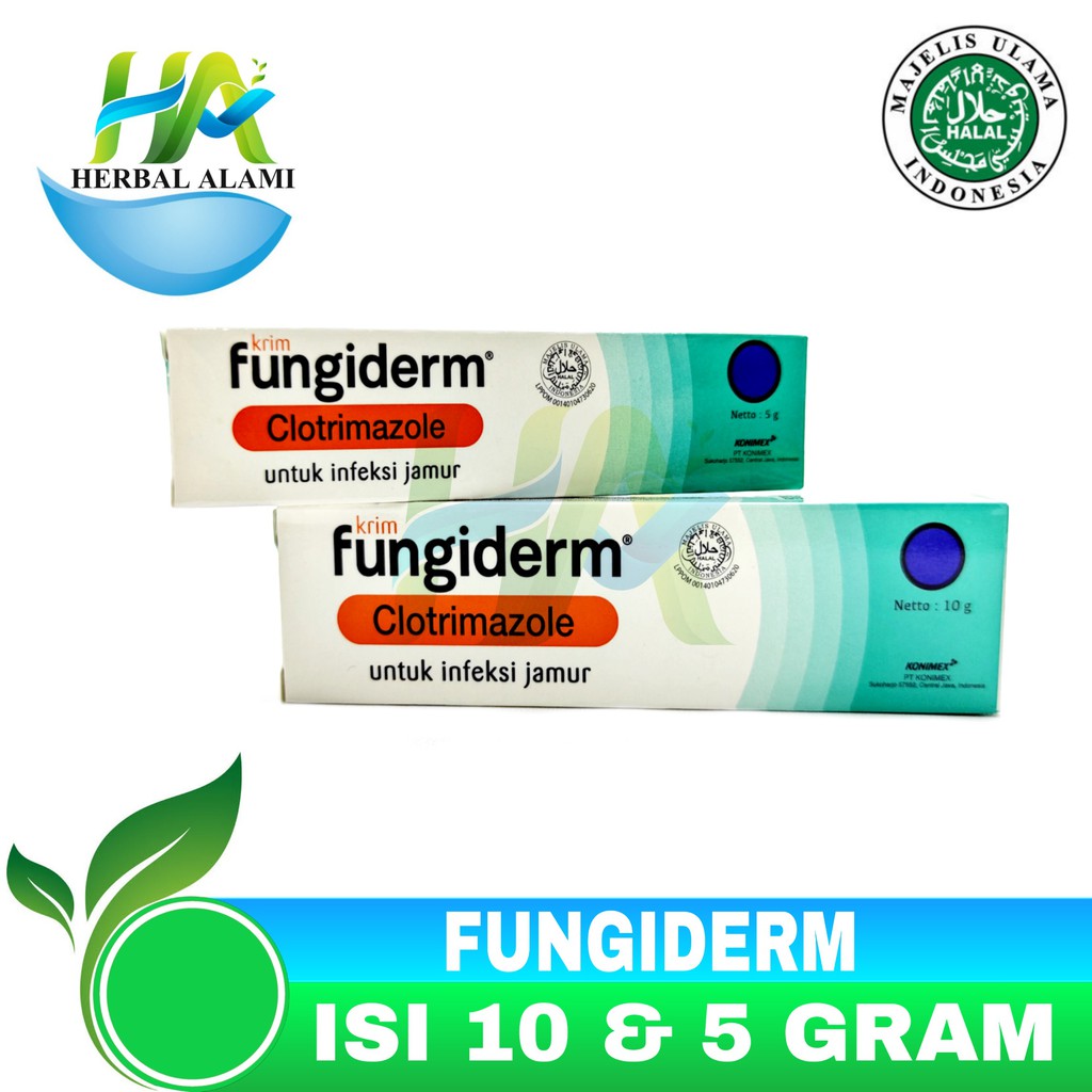 Salep Fungiderm Clotrimazole - obat infeksi jamur