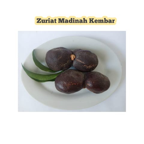 

Zuriat Madinah Kembar - Ukuran Sedang (Satuan)