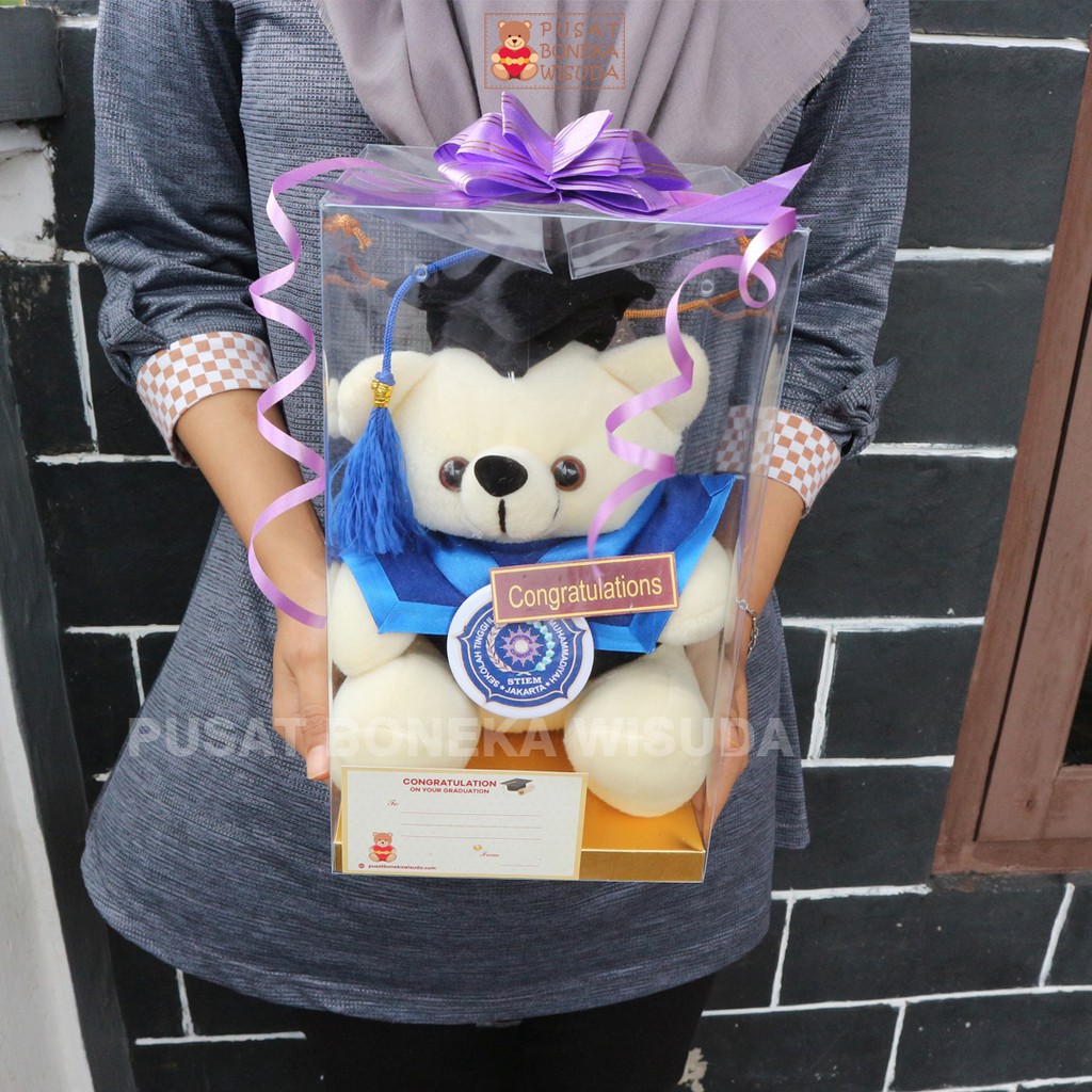 Boneka Wisuda Teddy Bear Ber Tedy Costom Kecil Mini Kado Wisuda Murah Hadiah Ulangtahun Grosir ultah