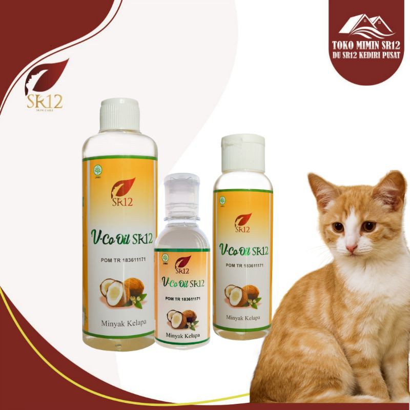 Obat Jamur Kucing / Vco Jamur Kucing / Hempas Jamur / Vco Kucing / Jamur Kucing