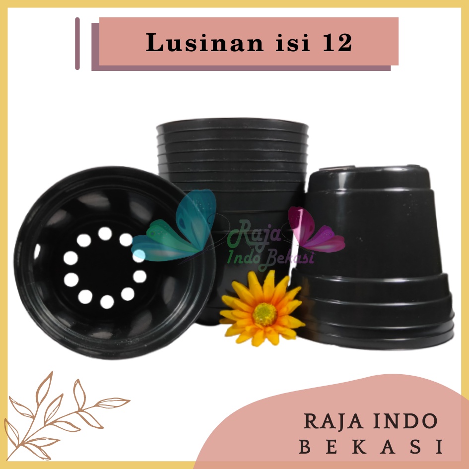 Rajaindobekasi Lusinan Pot 12 Cm Hitam Polos - Pot 12 Hitam Kecil Mini Minimalis Plastik Kaktus Sukulen Mini Murah Pot Bibit Pembibitan - Pot 12 Cm Grosir Lusinan