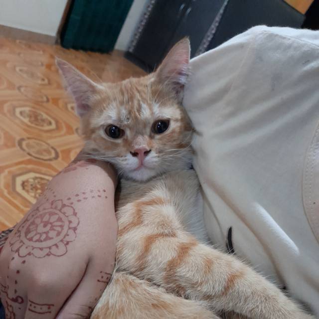 ayunkh31