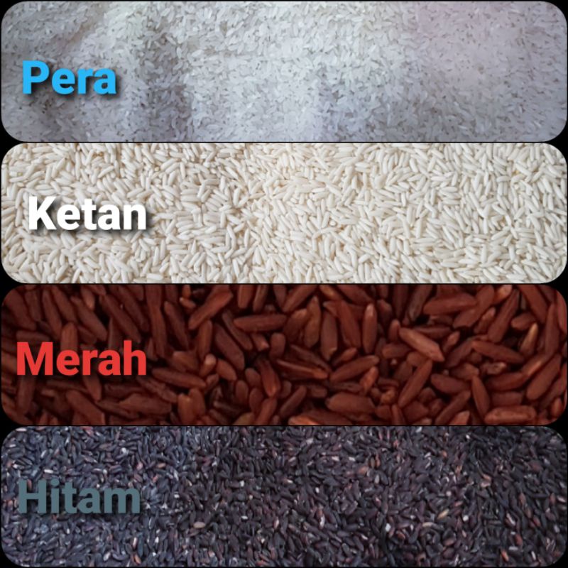 

Beras untuk bahan kerajinan tangan kolase