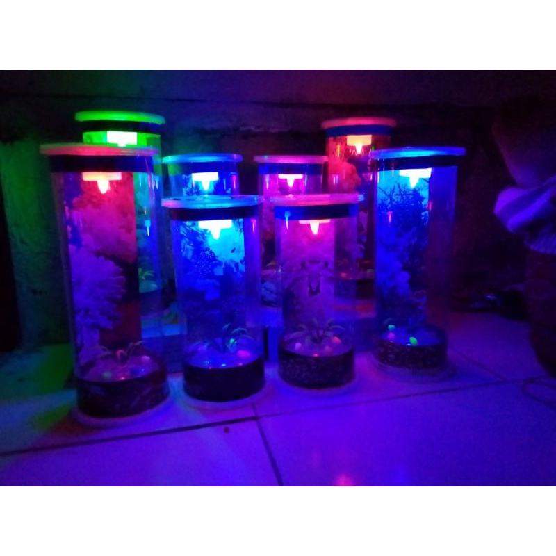 PROMO Aquarium Mini Tabung Bulat Mika Cocok Buat Ikan Cupang Gumppy-D 10cm T 25cm