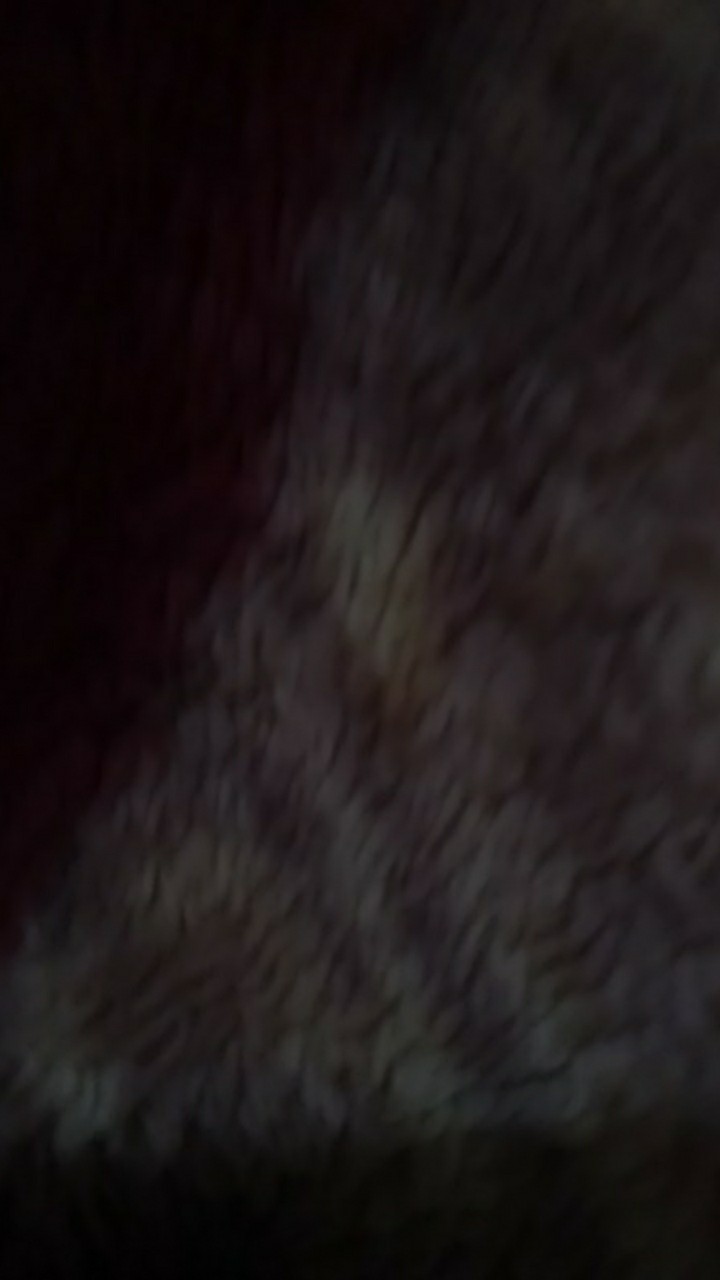 ⭐️⭐️⭐️⭐️⭐️ Promo - Sabun Batang Spl Original - Sabun Spl Asli Pemutih Wajah Ori / Cod