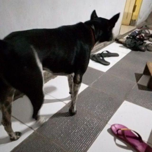 Mur Gerinda-inner Outer-flange Universal