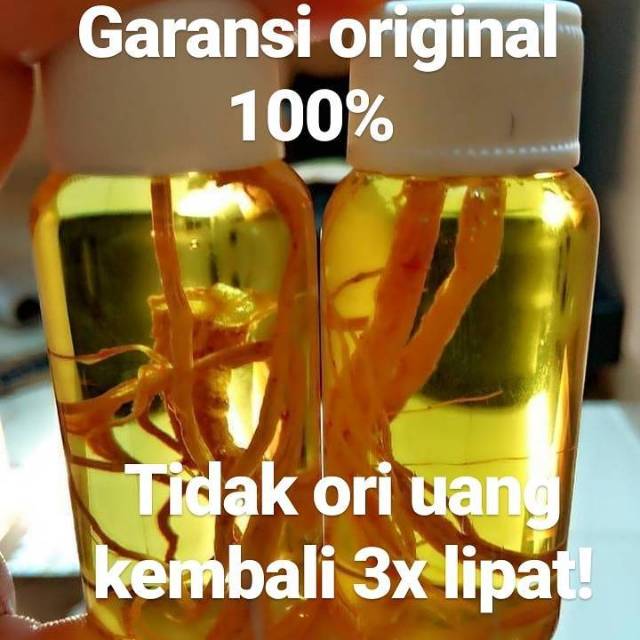 

MINYAK BULUS GINSENG 30ML original bulus murni dengan extract ginseng unggul garansi original