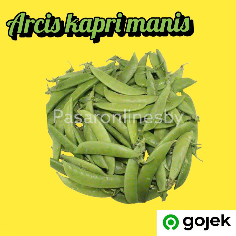 

Arcis tipis pack