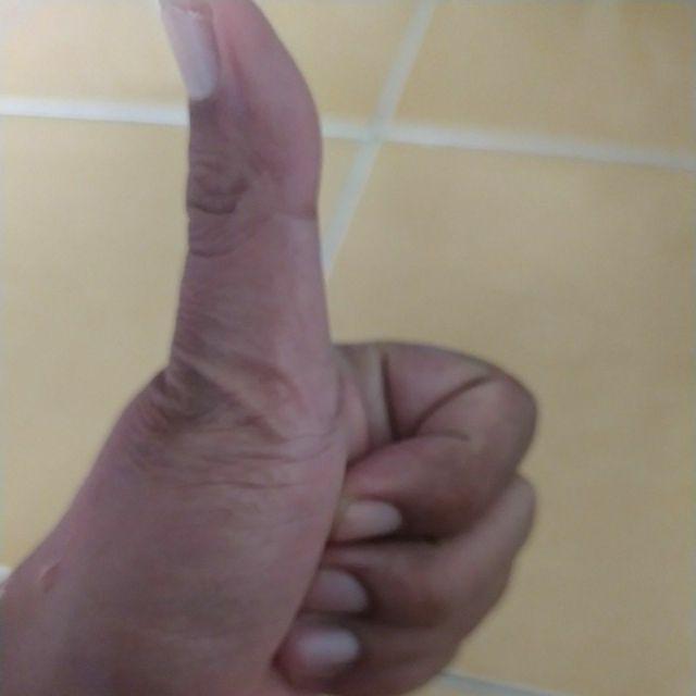 Ini Pompa Tangan Hand Pressure Sprayer Alat Penyemprot Semprotan 2l 2liter Smtt1 Buru Order