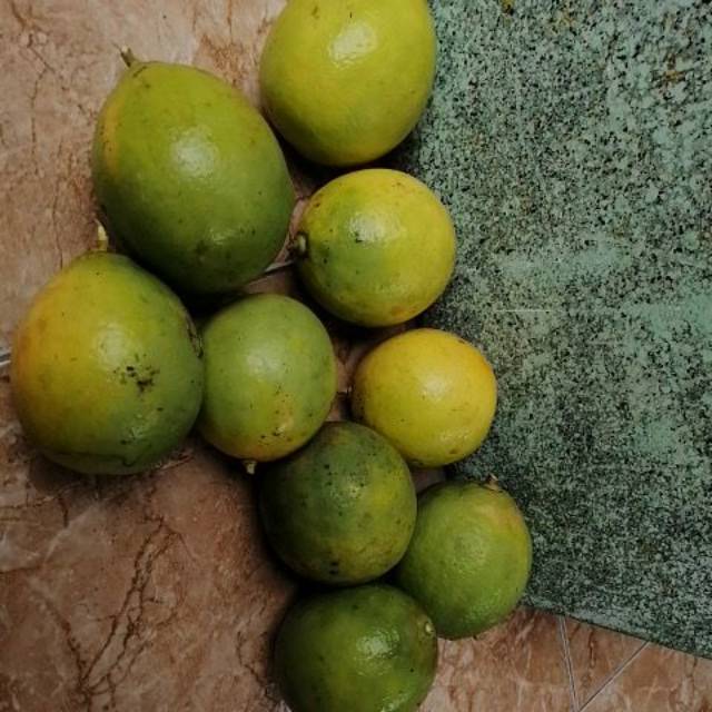 

Lemon california, | 1kg 16rb, fresh