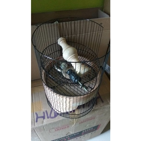 paket tebok pleci mentahan