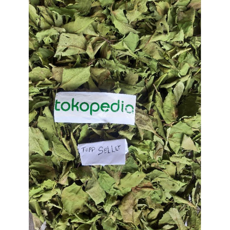 

benalu teh kering hijau 500 gram topp seller