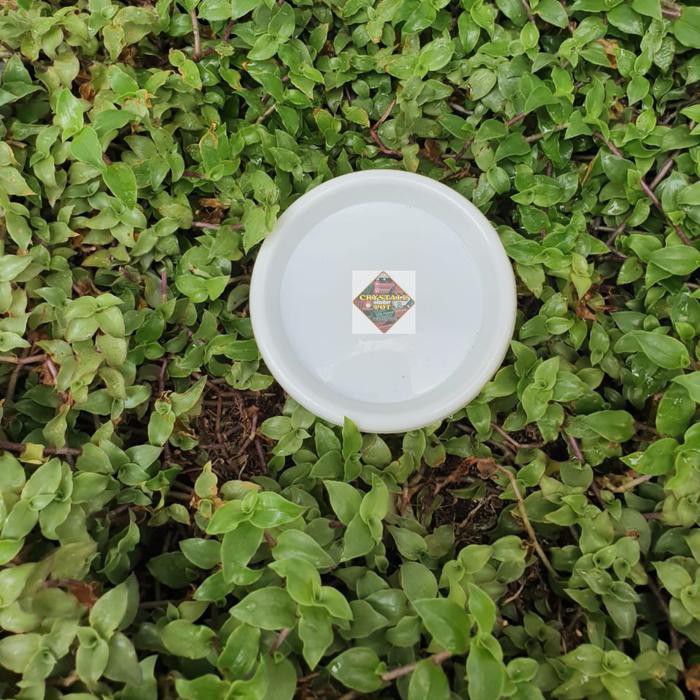 tatakan alas pot  bunga  tawon 10cm dan 12cm nkt  tatakan 