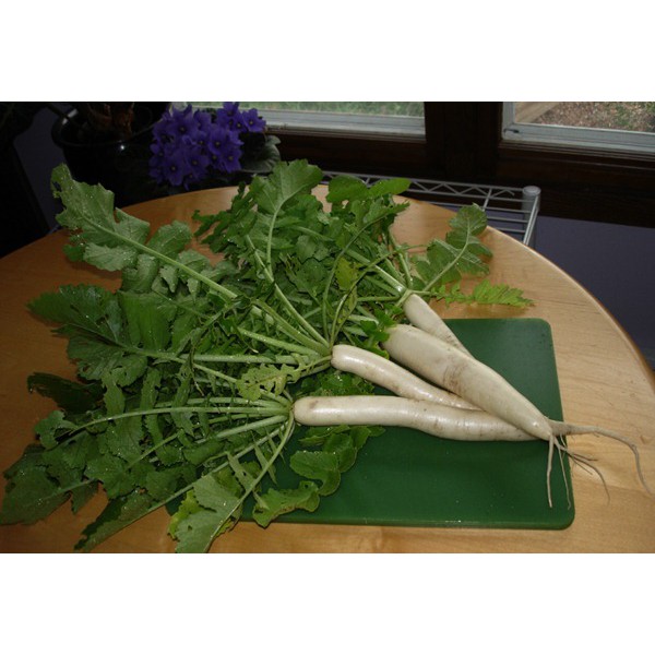 

Lobak Daun 500gr