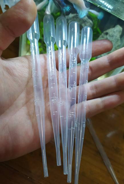 Pipet plastik 3ml / pipet pakan kutir , DM , jentik dan cacing