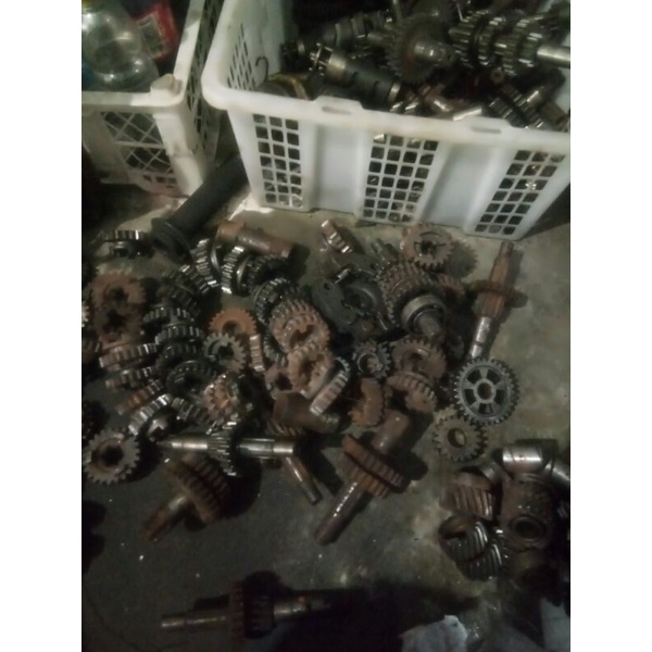 gigi ratio ecer fizr force1 alfa sigma