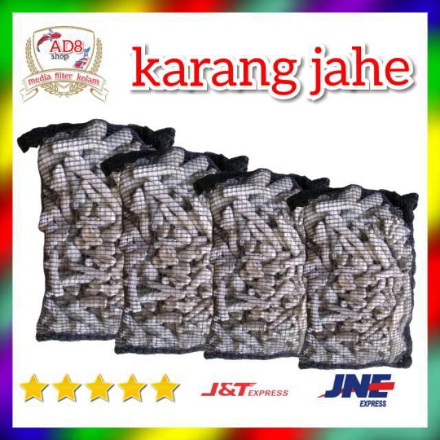 Karang jahe media penyetabil PH air pada kolam,filter kolam ikan koi