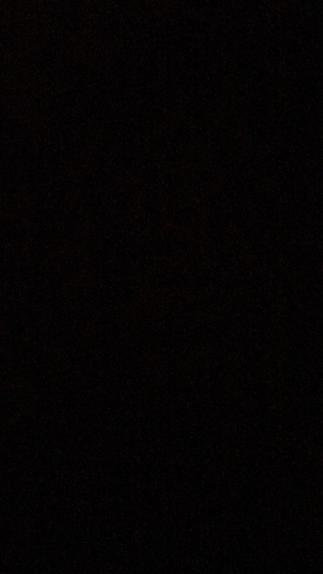 Bibit Tanaman Alpukat Wina Jumbo