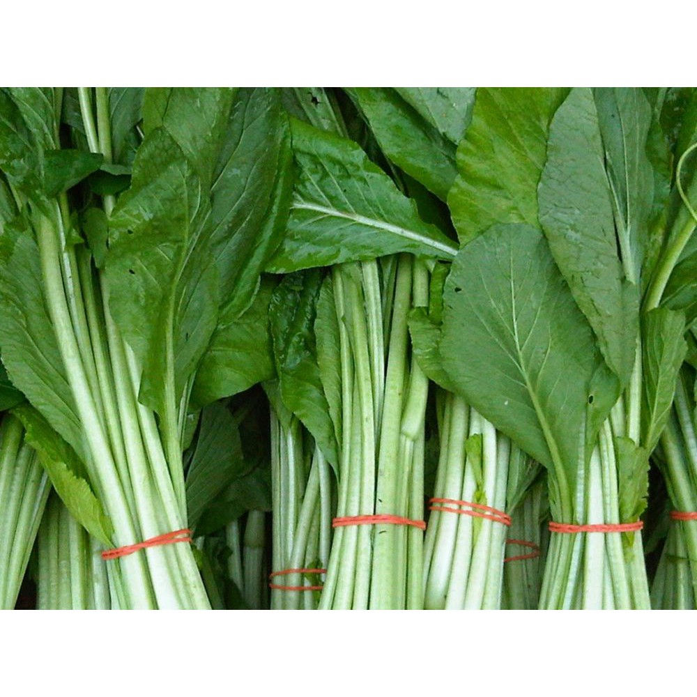 

Sawi Hijau Besar Segar [ 1000gr ]