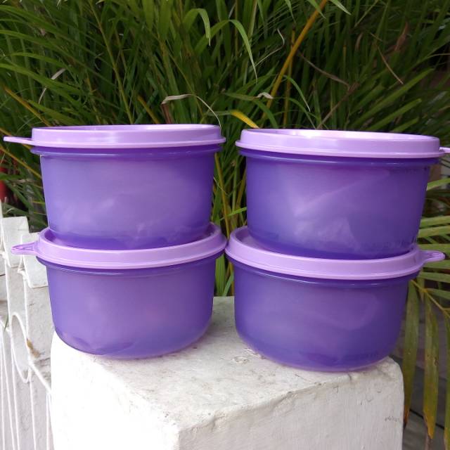 Soup Bowl rice bowl tupperware (1)