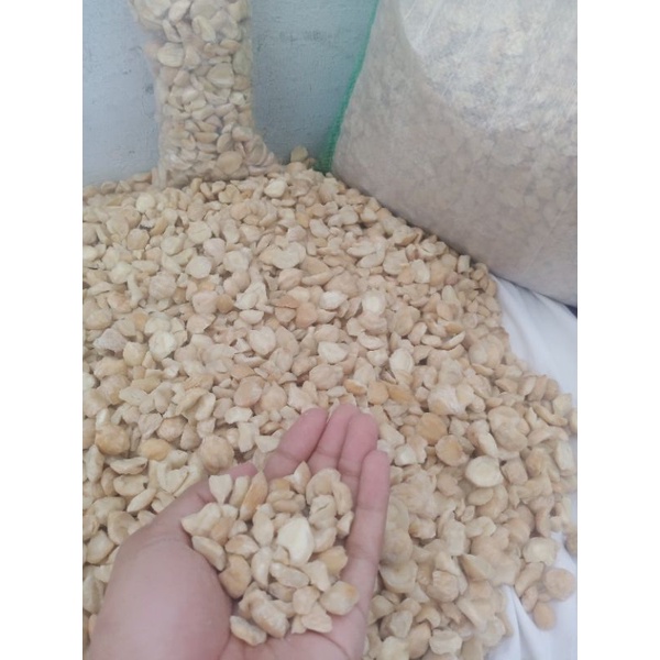 

Kemiri Pecah Murah Berkualitas Tinggi 1kg