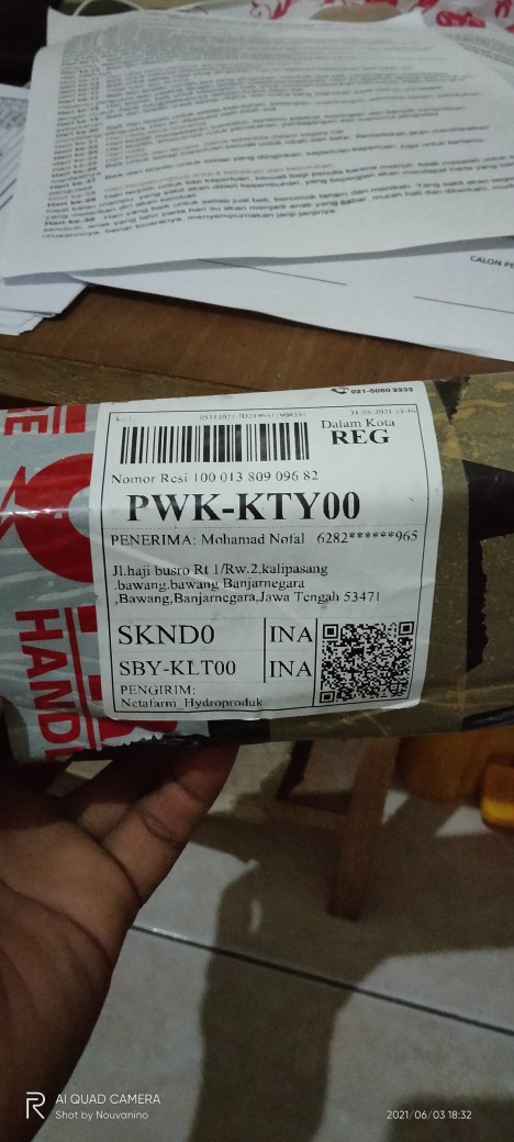 Grafting Tape Okulasi Cangkok Tanaman 3 X 100m - Hijau