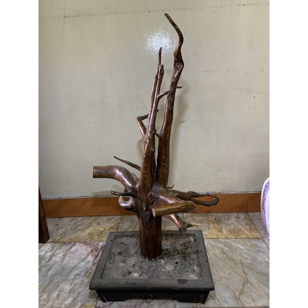 hiasan pohon pohonan ruang tamu